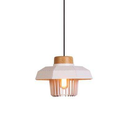 Colorful Metal Cage Shade LED Suspension Light - Loft Style