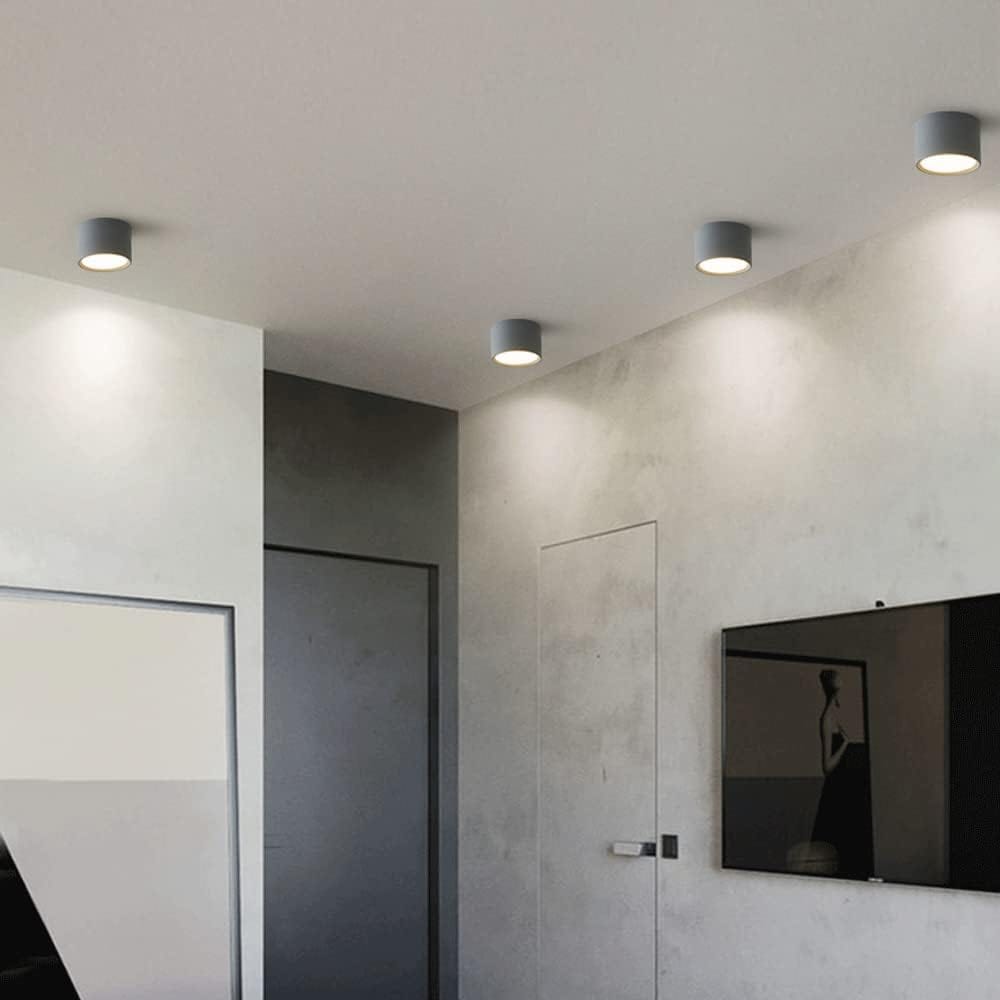 Round Metal LED Ceiling Spotlight Norenza