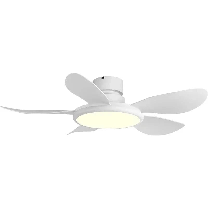 Simple Ceiling Fan with LED Light and Remote Control White / 42" Norenza