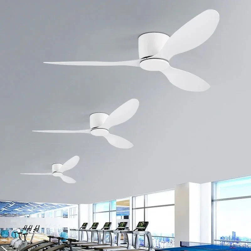 Simple Modern Ceiling Fans with Remote Control - No Light Norenza
