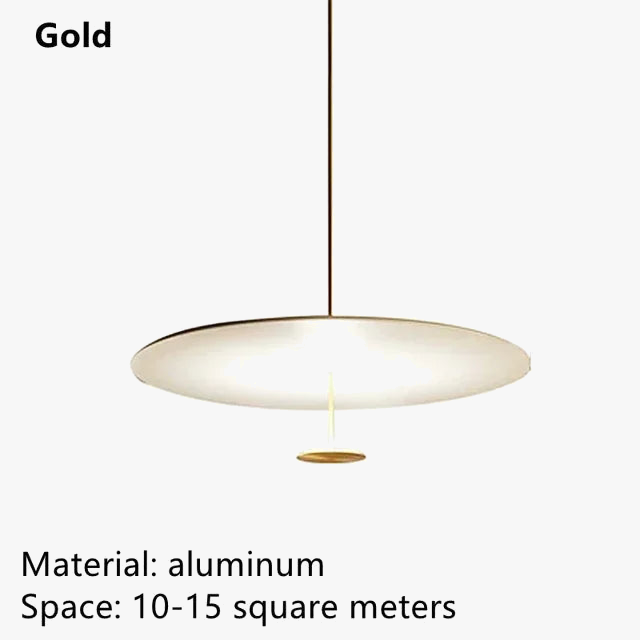 Ultra-Slim Minimalist Suspension Light Fixture for Indoor Use