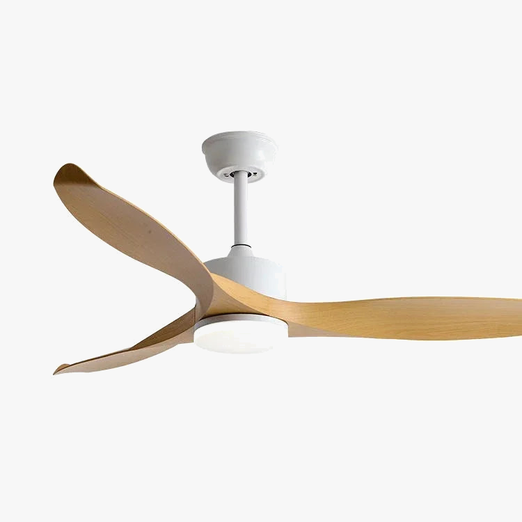 Modern LED Ceiling Fan with Remote Control and Light