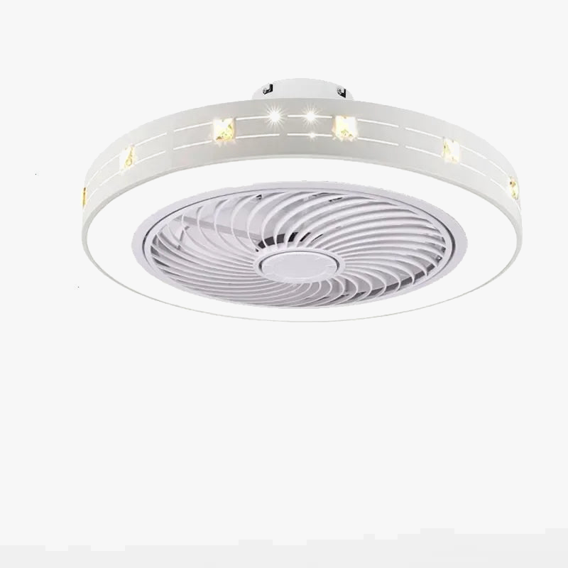 Modern Ceiling Fan with LED Light and Remote Control