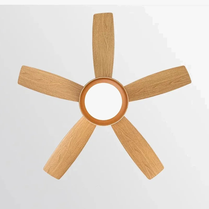 Modern Ceiling Fan with Light for Summer