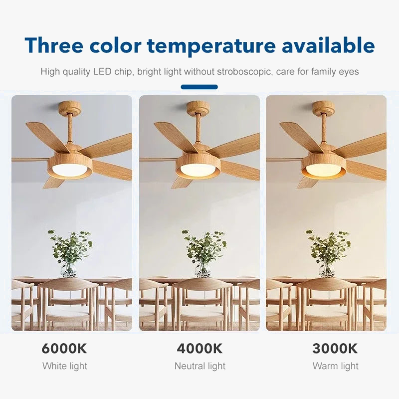Modern Ceiling Fan with Light for Summer