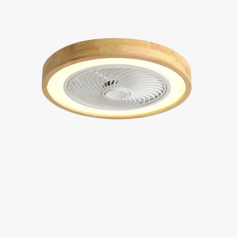 Modern Ceiling Fan with Remote Control and Elegant Light