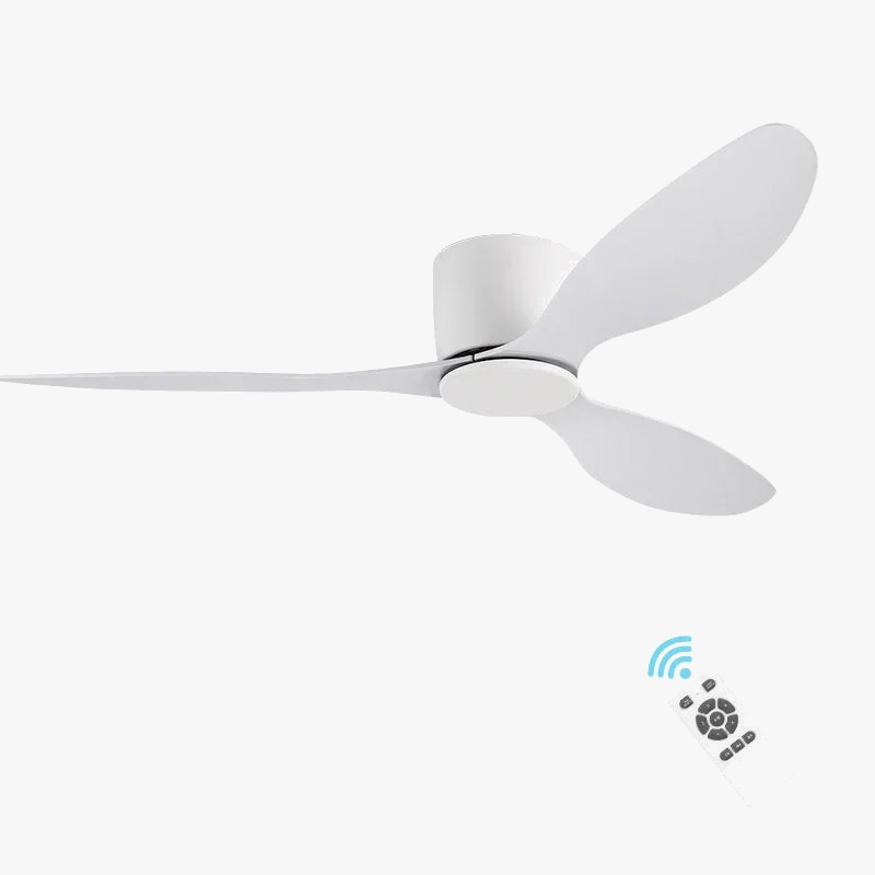 Simple Modern Ceiling Fans with Remote Control - No Light