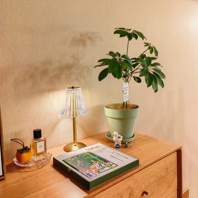 Wireless Rechargeable Touch Desk Lamp for Reading and Décor Norenza